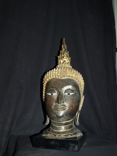 Arts d'Asie Tête de Bouddha à l'expression sereine coiffée des fines bouclettes surmontée...