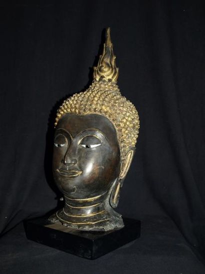 Arts d'Asie Tête de Bouddha à l'expression sereine coiffée des fines bouclettes surmontée...