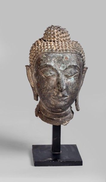 Arts d'Asie Tête de Buddha coiffée de fines bouclettes surmontée de la protubérance...