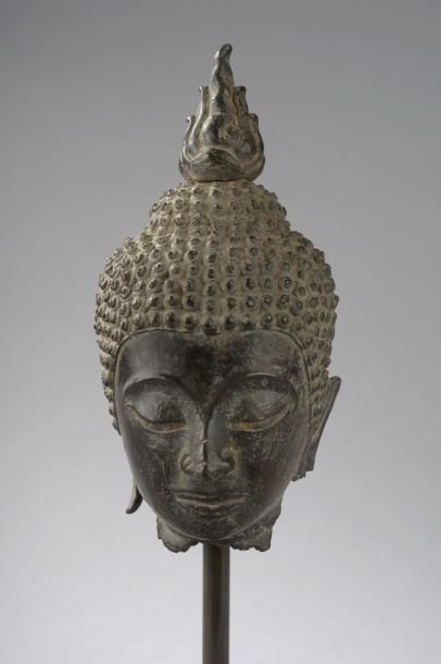 Arts d'Asie Tête de Buddha coiffée de fines bouclettes surmontée de la protubérance...