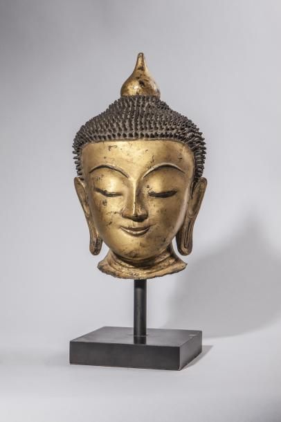 null Tête de Buddha à l'expression sereine coiffé de fines bouclettes surmontée d'un...