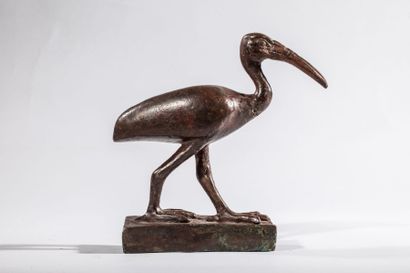 null Rare représentation du dieu Thot ibis marchant. Bronze à patine verte et brune....