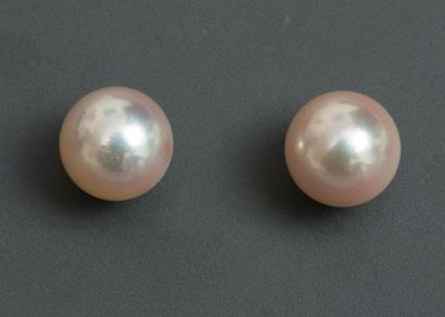 null Perles d'oreilles sur or jaune, 750 MM, diamètre : 8 / 8,5 mm, poids : 2,4gr....