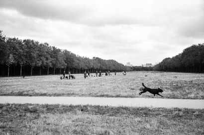 null Antoine PORCHER - Poudre d'escampette - Photographie argentique sur papier -...