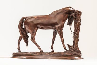 null Pierre-Jules MENE (1810-1879)- Cheval attaché- Epreuve en bronze à patine médaille,...