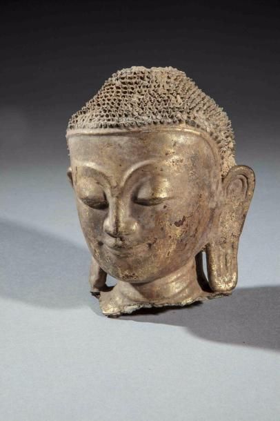 null Tête de Buddha à l'expression sereine coiffée de fines bouclettes hérissées....