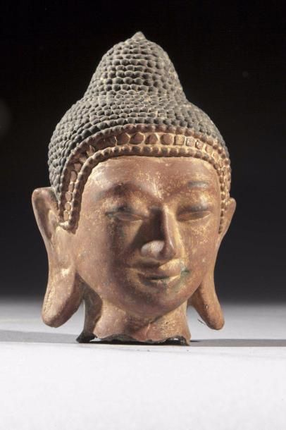 Tête de Buddha à l'expression sereine coiffée...