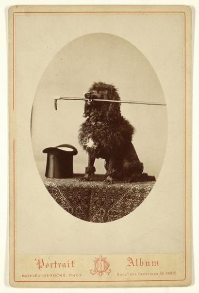 Mathieu dit Mathieu Deroche (1837-1918), photographe du Prince de Galles Le chien...