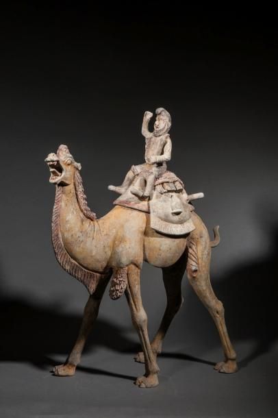 Chamelier Perse chevauchant un chameau blatérant,...