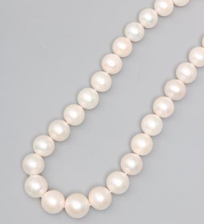 null Joli collier de perles de culture, diamètre : 12 / 13 mm, longueur : 44 cm,...