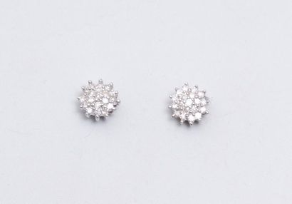 Puces d'oreilles en forme de fleurettes diamantées...