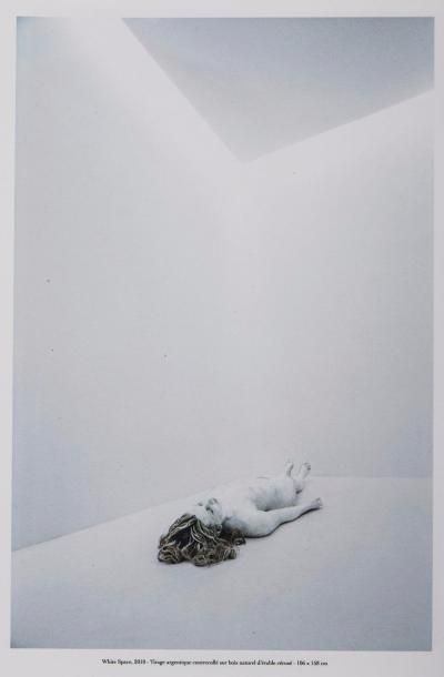 null Irène Billard, "High Beam", coffret de 13 planches-photos, tirage argentique,...