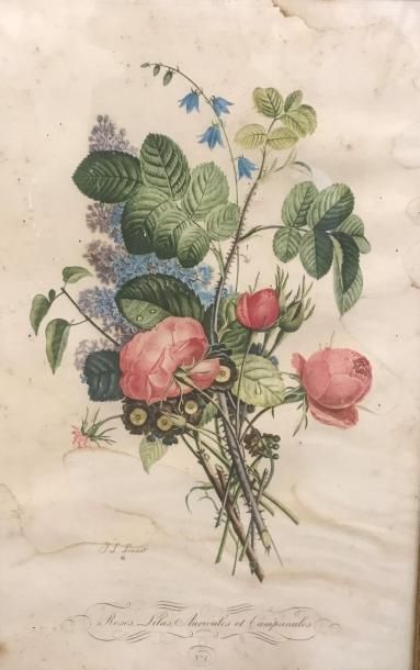 null Lot : JL. PREVOST - Les roses, lilas, auricules et campanules - Gravure couleur...