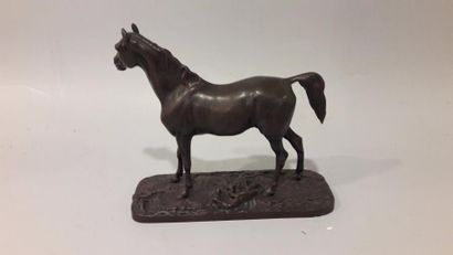 null Pierre-Jules MENE (1810-1879)- Cheval debout, Ibrahim - Epreuve en bronze à...