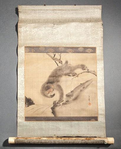 null Peinture sur papier illustrant un singe. Japon. 19 ème siècle. Cachet et signature....