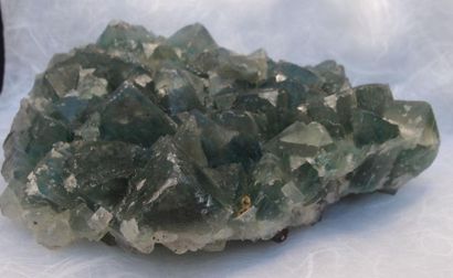 null Fluorite verte

Mine d'EL Hamman, Province de Khemisset, Maroc.Lamelle avec...