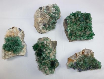 null Lot de 5 fluorites

Rogerley Mine, Frosterley, Weardale, Comté de Durham, AngleterreCristaux...