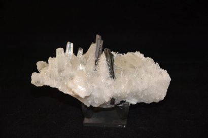 null Hubnérite sur quartz, Mine de Mondo Nuevo, Pérou. Très joli groupe de cristaux...