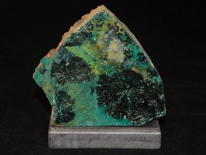 null Atacamite.Minéral peu commun. Un « classique » du Chili.La Farola mine, Tierra...