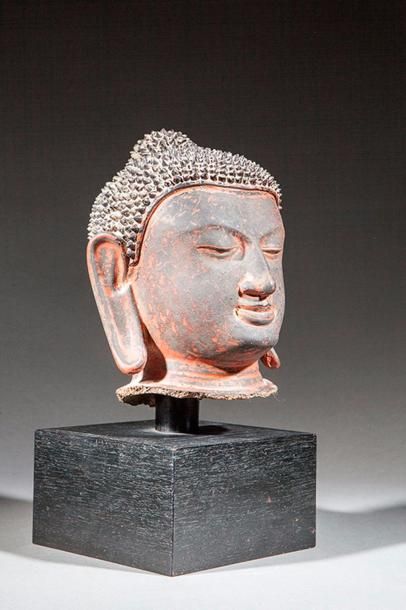 null Tête de Buddha à la coiffure bouclée surmonté de la protubérance crânienne ushnisha...