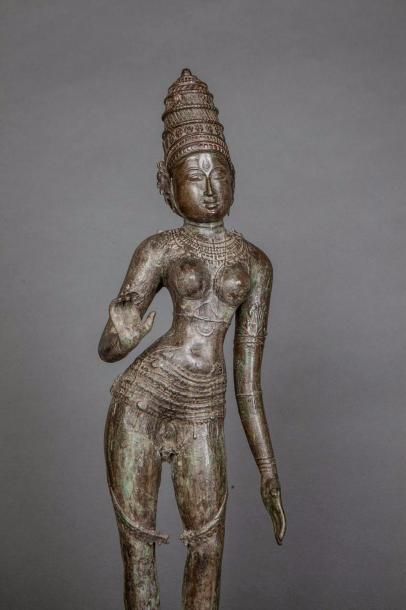 null La Déesse Parvati debout en tribanga sur un socle circulaire, coiffée d'une...