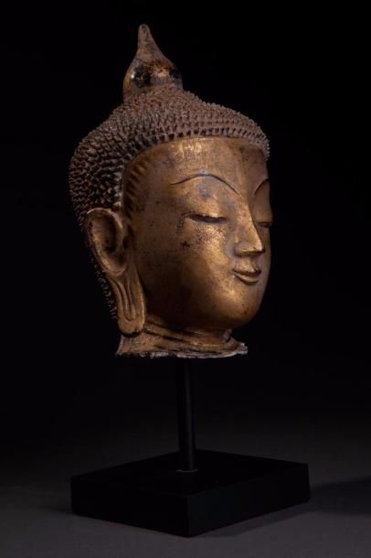 null Tête de Buddha à l'expression sereine, la coiffure herissée de bouclettes surmontée...
