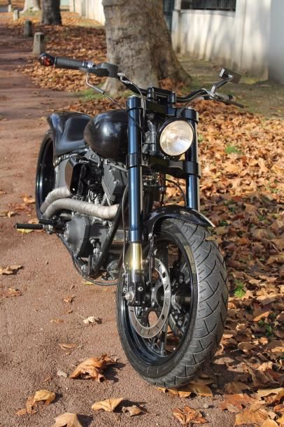 null Harley Davidson, sur une base de Softail, 1580 cm3, année 2001, carburateur,...