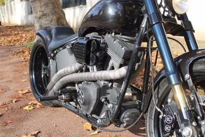 null Harley Davidson, sur une base de Softail, 1580 cm3, année 2001, carburateur,...