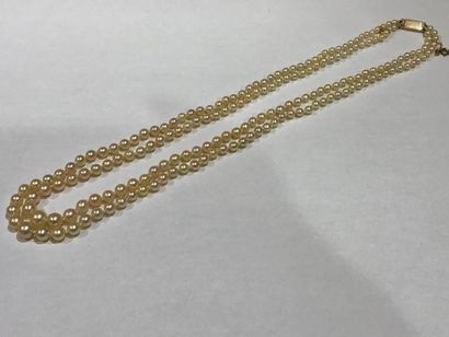 null Collier formé de deux rangs de perles de cultures en chute - Fermoir en or jaune...
