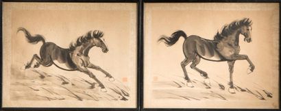 Suite de 4 peintures illustrant des chevaux...