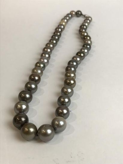 null Collier de perles grises de Tahiti en chute - Diamètre de 8 à 11mm 