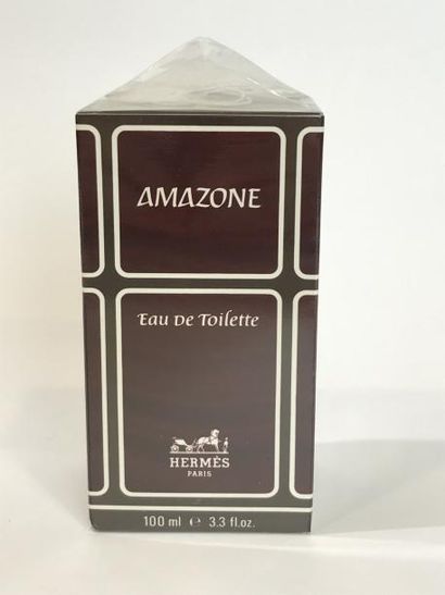 null HERMES "Amazone"

Flacon Eau de Toilette 100mL

