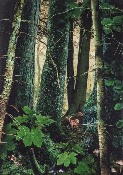 null Ruud Van Empel (1958- ): "Study in Green", cibachrome,# 8, 2003, 42 x 59 cm...
