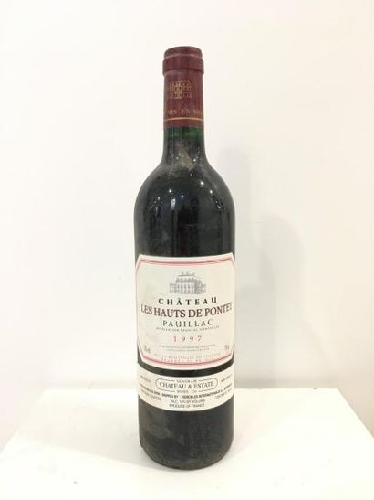 null 1 bouteille de vin Paulliac - Château les Hauts de Pontet - 1997