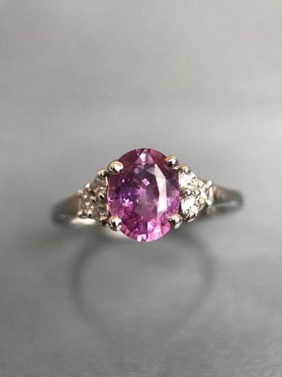 null Bague or blanc 4g70, sertie d'un Saphir rose taille ovale 1,55 ct (1,56) épaulé...