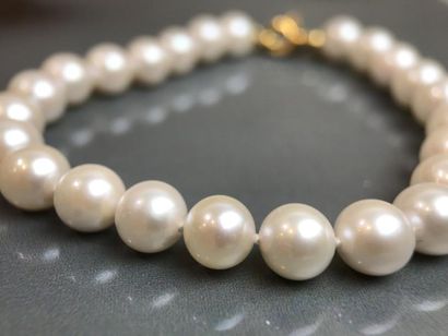 null Bracelet de 24 perles de cultures du Japon 7,00/7,50 mm Fermoir mousqueton or...