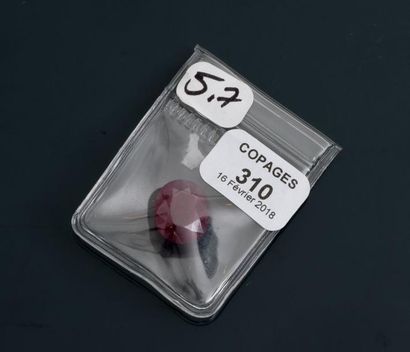 null Rubis ovale non analysé , poids : 5,70 carats, 