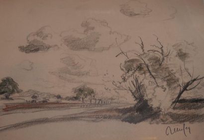 null Raymond RENEFER (1879-1957) - 4 arbres - Dessin avec tampon de l'atelier en...