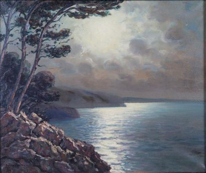 null Arsène CHABANIAN (1864-1949)

HST SBG, La côte au clair de lune, 45,5 x 55cm...