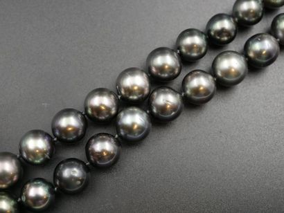 null Collier Choker en perles de Tahiti 37 diamètre 8/10mm, une 10/12mm