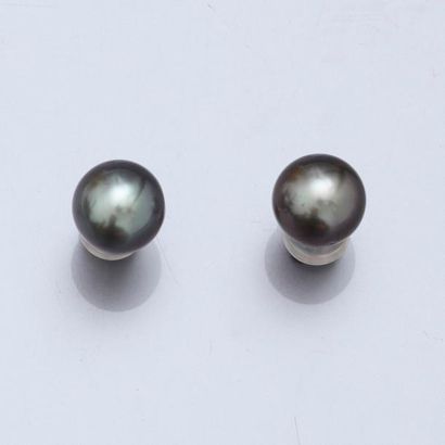 null Puces d'oreilles en or gris, 750 MM, orné chacune d'une perle ronde de Tahiti,...