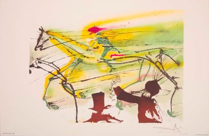 null Deux ouvrages : L'un Salvador DALI (1904-1989) illustre Alain DECAUX et Léon...