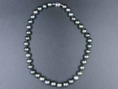 null Collier Choker en perles de Tahiti 38 perles - diamètre 8/10mm, une 10/12mm...