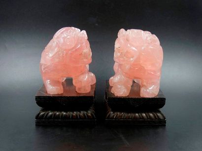 null Paire de Chien de Fô en Quartz rose sur socle en bois de fer - CHINE - Dynastie...