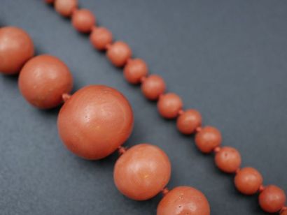 null Beau collier de boules de corail en chute de 3 à 10mm - Fermoir en or jaune...