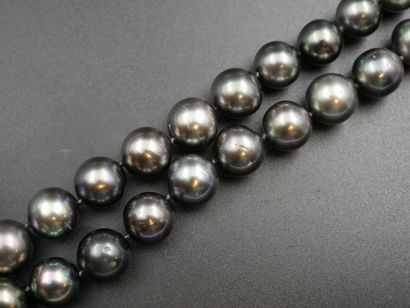 null Collier Choker en perles de Tahiti 37 diamètre 8/10mm, une 10/12mm- Très ré...
