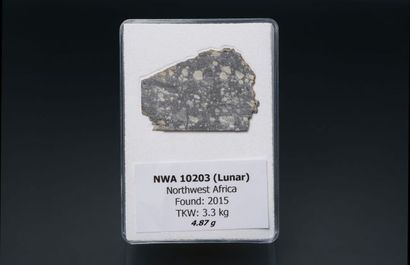 null METEORITE LUNAIRE NWA 10203 Brèche régolithique avec inclusions blanches caractéristiques...