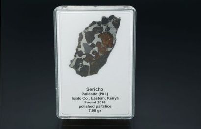 null METEORITE PALLASITE SERICHO Pallasite du Kenya, trouvée en 2016. Plaque polie...