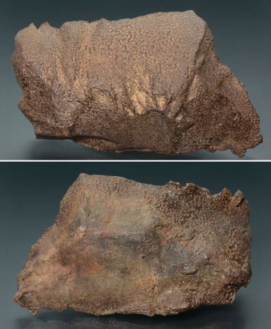 null METEORITE SIDERITE DJEBEL KAMIL Très belle météorite 13x8x3cm. La forme en «...