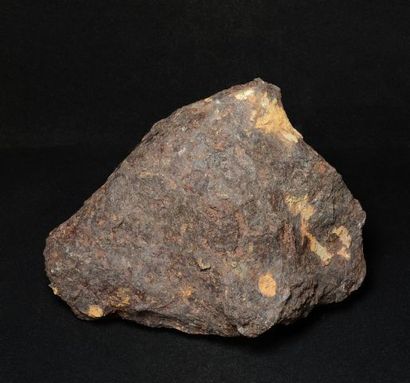 null METEORITE SIDERITE MONT DIEU Trouvée en 1992, dans la forêt de Mont Dieu dans...